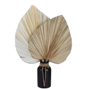 ปาล์มหอกทองข้อมูลเวียดนาม/ขายส่งธรรมชาติดอกไม้แห้งโรงแรมตกแต่งปาล์มต้นไม้ใบธรรมชาติสีน้ำตาล Louli 99ทอง - Product Image 3