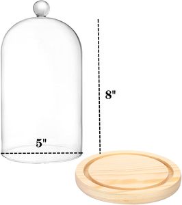 Disposable Biodegradable Plate 7.5 Inch <b>Small</b> Cake Cupcake Stand Acacia Wood Base Dishwasher Safe Modern Style for Party Wedding - Product Image 1