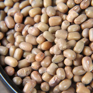 Haricots Moth Beans Matki Millet Indien 100% Naturel Riche en Protéines Légumineuses de Qualité Fournisseur en Gros pour l'Exportation TRANSOCEANICAL IMPEX - Product Image 1