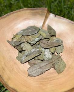 Té de Hojas de Guanábana Secas, Calidad Premium, Natural, Puro, en Bolsitas, Fermentado, Sin Cafeína, para Remojar con Agua Caliente, Bebida Saludable - Product Image 5
