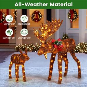 Set Decorativo Natalizio con Luci LED, Ornamento a Forma di Alce Illuminato in 2 Pezzi per Casa e Esterni, Decorazioni Invernali - Product Image 5