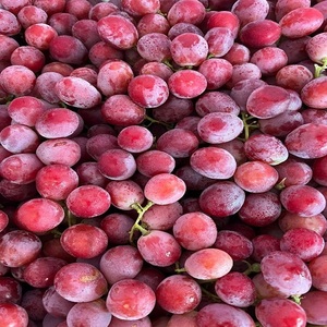 Oferta Exclusiva de Uvas Frescas, Dulces y Jugosas, Fruta Natural al por Mayor para Compradores Globales, Exportadores y Supermercados - Product Image 1