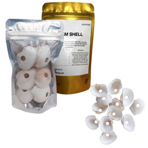 Small Animal <b>Hamster</b> & Rabbit Chew Chew <b>Toys</b> Clam Shell Design <b>for</b> Play & Exercise - Product Image 1