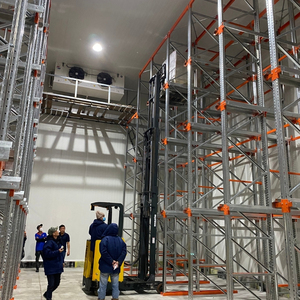 Drive In <b>Racking</b> <b>System</b> Allowing Forklift Entry Into Lanes To Maximize Storage Density And Warehouse Space Utilization - Product Image 3