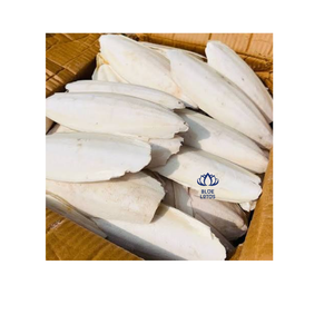อาหารนกจากปลาธรรมชาติ TOP Eco พร้อมแคลเซียมจากปลา สำหรับกรงนก ผลิตภัณฑ์สำหรับสัตว์เลี้ยง ขายส่งและส่งออก - Product Image 1