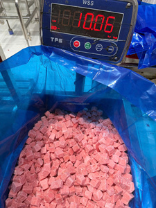 Pastèque Sucrée Congelée en Cubes, Format Bloc, pour Jus et Transformation Alimentaire, Conditionnement en Vrac - Product Image 4