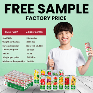 For VINUT Factory Direct 490ml Sugar-Free <b>Fruit</b> & <b>Vegetable</b> <b>Juice</b> Drink with Pulp Free Sample OEM/ODM Available for Export - Product Image 4