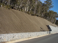 Filet de protection contre l'érosion en jute biologique antibactérien de haute qualité, 100% naturel, biodégradable, respectueux de l'environnement