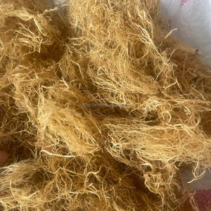 Alga Gracilaria Seca Premium (14% de Humedad) - Marca Kim Minh, Origen Vietnam, Empaque en Bolsa, 12 Meses de Vida Útil para Agar - Product Image 2