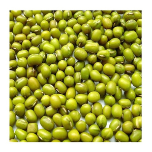Fabricant indien direct, lentilles vertes Moong Dal entières biologiques séchées en vrac de haute qualité - Product Image 4