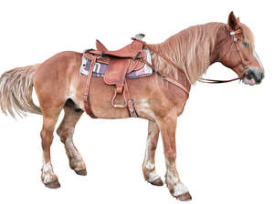 Vêtements équestres en cuir souple Western Horse Saddle Leather Western Roping Ranch Horse Tack Wade Saddle Wade avec accessoires personnalisés - Product Image 6