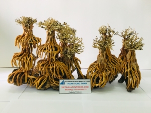 Décorations d'aquarium en bois flotté naturel, forme irrégulière, ornement durable pour aquarium, fabriqué au Vietnam - Product Image 5