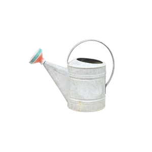 Arrosoir en acier galvanisé vintage en gros avec tête de pulvérisation amovible pour décoration de jardin intérieur et extérieur - Product Image 3