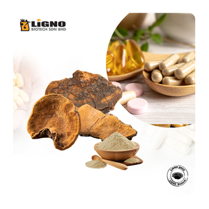 LiGNO SH02 ™   Polvo de Sang Huang – Antiinflamatorio y Modulador Inmunológico, Certificado GMP, Nutracéutico, Malasia, OEM, ODM - Product Image 1