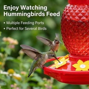 Paquete de 2 comederos de cristal rojo de 16 oz para colibríes, a prueba de hormigas y abejas, para colgar al aire libre, con 6 orificios de alimentación, suministros premium para pájaros. - Product Image 3