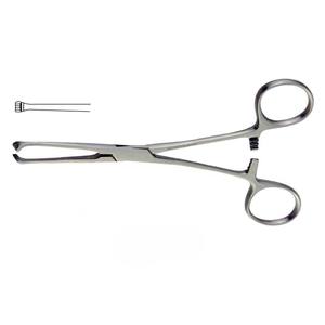 Pinces Allis pour tissus, avec poignée ergonomique et verrouillage, pour bébé, assurant la stabilité lors de la suture et de la dissection, par Dentavex - Product Image 1
