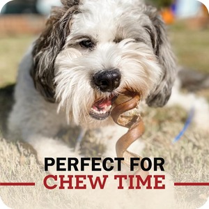 Barritas de Carne de Res Naturales para Perros Agresivos, Masticables Saludables de Larga Duración, Favorecen la Higiene Dental, Alto Contenido Proteico, Marca Privada - Product Image 4