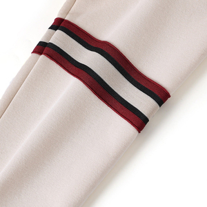 Sudadera Unisex de Cuello Redondo, Corte Regular, Tejido de Poliéster/Algodón, Color Sólido, Invierno, Casual, Manga Larga, Bordada - Product Image 5