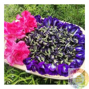 Té Herbal de Flor de Guisante Mariposa Seca de Vietnam Premium para Venta al por Mayor, Procesamiento de Bebidas y Alimentos, y Suministro Global para Exportación - Product Image 4