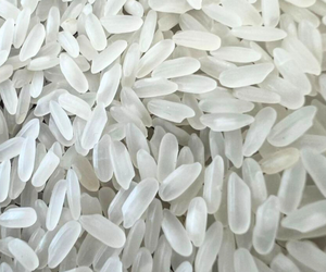 Camolino Rice – Premium Egyptian Rice | Soft Texture Fragrant Taste Authentic Middle Eastern <b>Grain</b> - Product Image 2