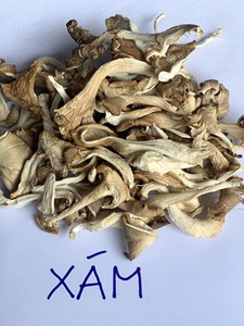 2024 Premium Dried Oyster Mushroom Hot Export with Low Price <b>Cultivated</b> Raw Processing for Eating in Bulk - Product Image 5