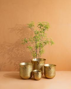 Pot de fleurs en laiton doré de qualité supérieure, idéal pour la décoration luxueuse de la maison, la décoration des halls d'hôtel et la mise en scène des plantes d'intérieur, provenant d'Inde. - Product Image 4