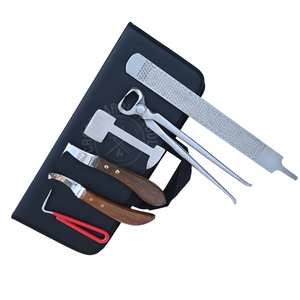 ชุดเครื่องมือช่างตัดแต่งกีบม้า พร้อมที่ตัดเหล็ก ด้ามไม้ มีดตัดกีบ ตะไบสองด้าน และใบมีดแบบถอดได้ บรรจุในกล่อง - Product Image 1