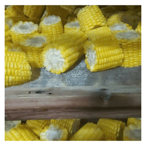 Maíz Congelado IQF elaborado con granos de maíz frescos para menús de restaurantes, platos congelados e ingredientes para comidas preparadas, Vietnam - Product Image 1