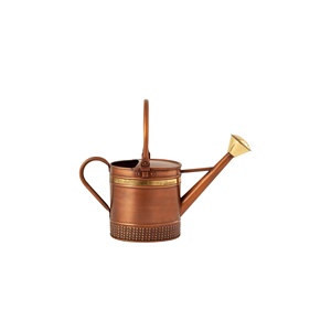 Arrosoir en métal pour plantes d'extérieur et d'intérieur, nouveau design, avec poignée, galvanisé, fournitures pour la maison et le jardin, porte-fleurs - Product Image 6