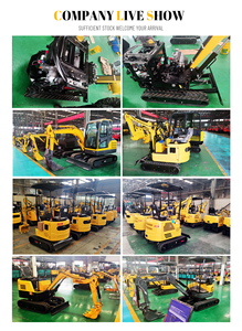 <span class=keywords><strong>Mini</strong></span>-excavatrice puissante de 1,5 tonne pour la construction et l'agriculture - Product Image 4