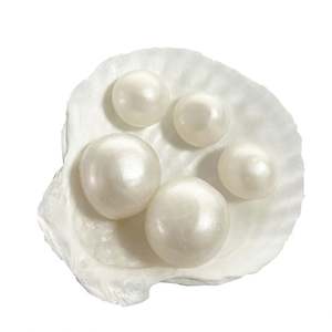 Juguetes creativos para aliviar el estrés, con música al apretar, perlas, conchas, rebote lento, de alta estética, para estudiantes que buscan desahogo y bromas. - Product Image 5