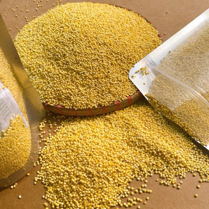Millet décortiqué de qualité alimentaire en gros pour la consommation humaine, céréales pour le petit-déjeuner, marque privée Vietnam - Ms. Grace - Product Image 4