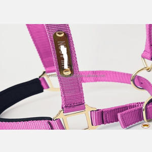 OEM personalizado Nylon caballo Halter equipo brida productos equinos caballo Halter Turnout caballo accesorios brida Nylon Halter - Product Image 3