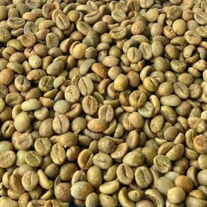 Granos de Café Robusta con Sabor Neutro a Miel, Café Robusta y Arábica en Grano, Pureza del 95 al 99%, Bolsas a Granel de Alta Calidad - Product Image 5