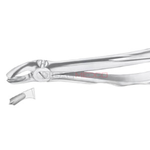Fig. Forceps d'extraction dentaire manuels en acier inoxydable allemand pour 17 molaires supérieures droites de différentes tailles, certifiés CE - Product Image 6