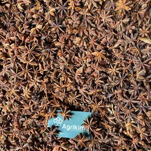 Vietnamese Spring Star Anise High Oil Content High Quality Direct Export Best Price - Product Image 5