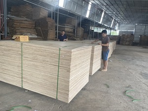 Contrachapado Bintangor de Vietnam de 5-24 mm, Grado E0 E1 para Muebles, Contrachapado Comercial de 4x8 para Router CNC, Decoración de Interiores y Muebles - Product Image 5