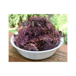 Ocean-Harvested Irish Sea <b>Moss</b> Raw and Sustainably Wildcrafted - Product Image 5