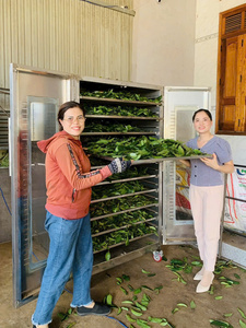 Hojas de Guanábana Naturales Puras, Hojas de Graviola Secas Premium sin Aditivos - Product Image 4