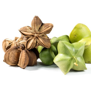 น้ำมันซาชาอินชี |   ผู้จัดจำหน่ายน้ำมันตัวพาคุณภาพพรีเมียมแบบขายส่ง รับผลิตแบบ OEM และฉลากสินค้าส่วนตัว - Product Image 5