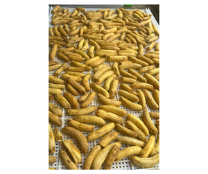 Plátano Deshidratado de Alta Calidad Directamente de Fábrica en Vietnam - Plátano Deshidratado Natural para Procesamiento de Alimentos - Product Image 6