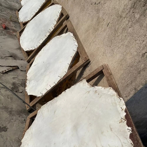 Parche de cuero crudo blanco duradero de piel animal natural para tambor de marco, tambor de fagot, tambor de mano peludo, parches de cuero de vaca para tambor - Product Image 5