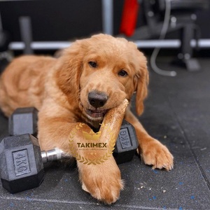 ไม้กาแฟธรรมชาติสำหรับเคี้ยวของเล่นสัตว์เลี้ยงที่เหมาะกับสุนัขรักษาสำหรับเคี้ยวก้าวร้าว - Product Image 4