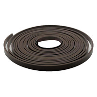 Vente directe – Bande de guidage en PTFE de marque Hongwo, grade moulage/démoulage, avec anneau anti-usure cylindrique rempli de MoS2, pour pièces automobiles à faible friction