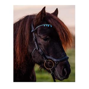 Brida de caballo islandesa, diseñador, Color azul claro, Rub internacional - Product Image 1