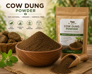 Venta Especial: Polvo de Estiércol de Vaca Natural a Granel para Agricultura Orgánica, Elaboración de Compost y Mejora del Suelo, Disponible para la Venta - Product Image 1