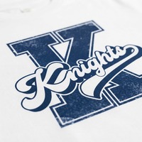 T-shirts personnalisés pour l'esprit scolaire, impression DTF, DTG, sérigraphie, t-shirts d'équipe pour la fierté scolaire, vêtements pour événements étudiants, vente en gros, OEM, ODM