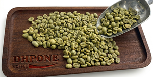 Granos de Café Verde Orgánico Arábica S16, Grado A, Puro, Natural, Sin Alérgenos, a Granel para Tostar, Calidad Estable, Exportación al por Mayor - Product Image 6