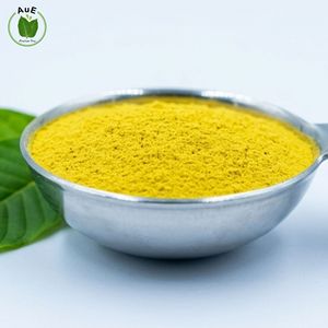 สมุนไพรไทยสูตรดั้งเดิม ยอดนิยม สารสกัดใบอู่หลี 80% ชนิดผง สกัดด้วยตัวทำละลาย เกรดยา บรรจุภัณฑ์สุญญากาศ - Product Image 2