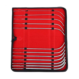 ชุดเครื่องมือขยายท่อปัสสาวะเฮการ์ 12 ชิ้น ผลิตจากเหล็กกล้าไร้สนิมเยอรมัน ชุดเครื่องมือผ่าตัดทางนรีเวช ได้รับการรับรองมาตรฐาน CE - Product Image 3